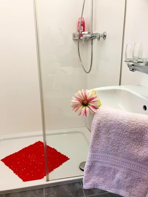 Ferienwohnung Chesa Margadant Zuoz Exterior foto